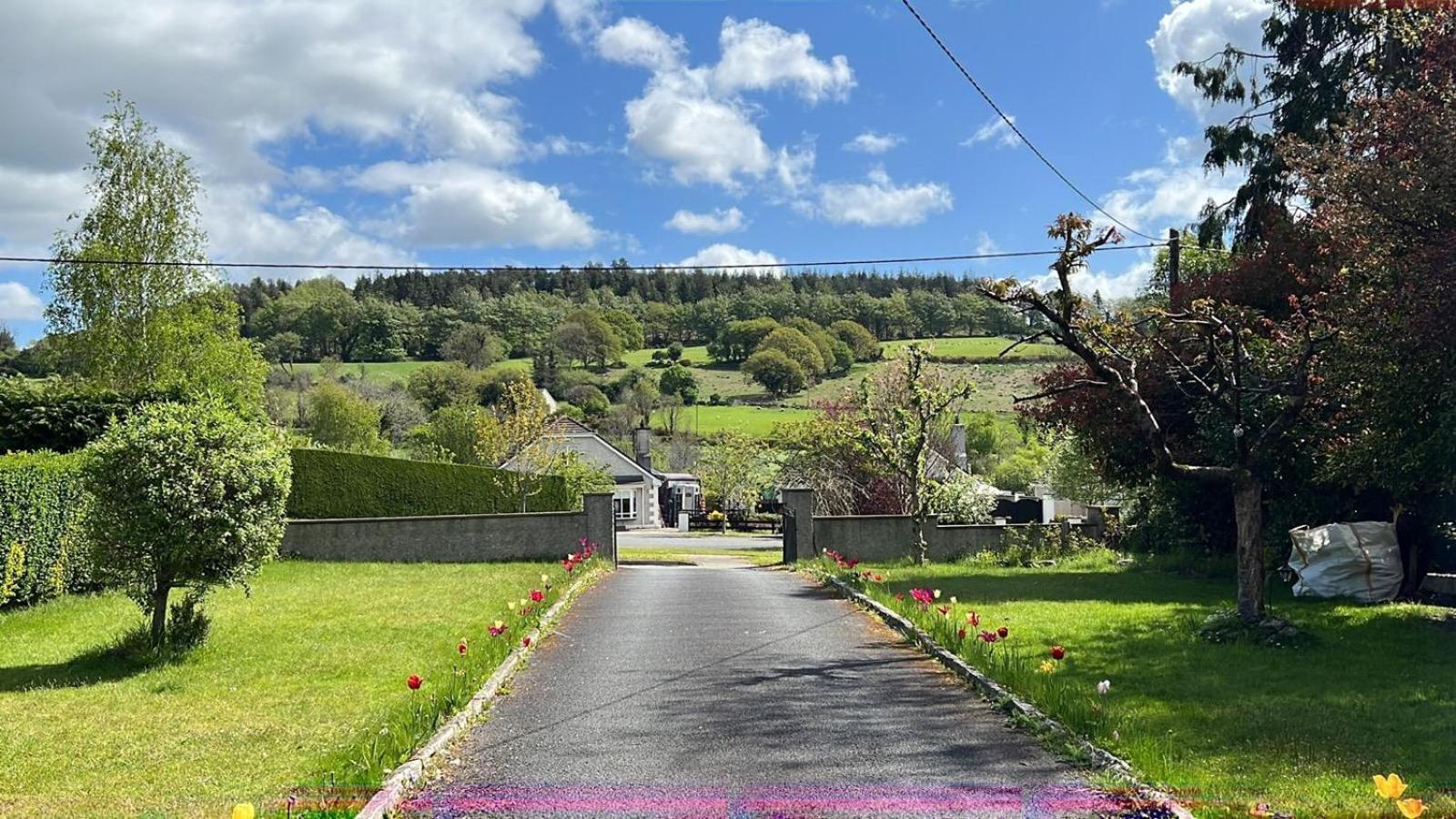 Avonbeg Cottages 2 Bed 1 Bath Accommodate 3 Guests Rathdrum Exteriör bild