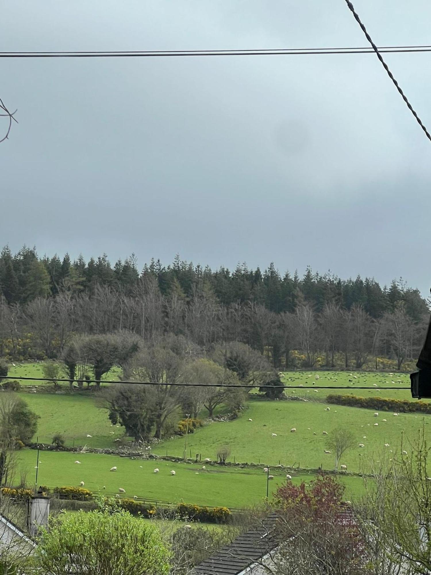 Avonbeg Cottages 2 Bed 1 Bath Accommodate 3 Guests Rathdrum Exteriör bild